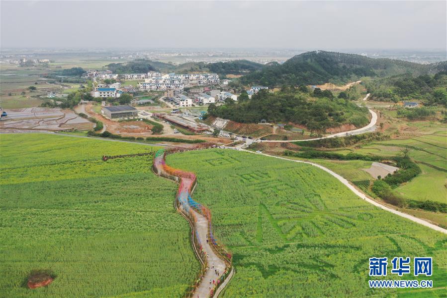探索多样化数字阅读 营造全民阅读氛围