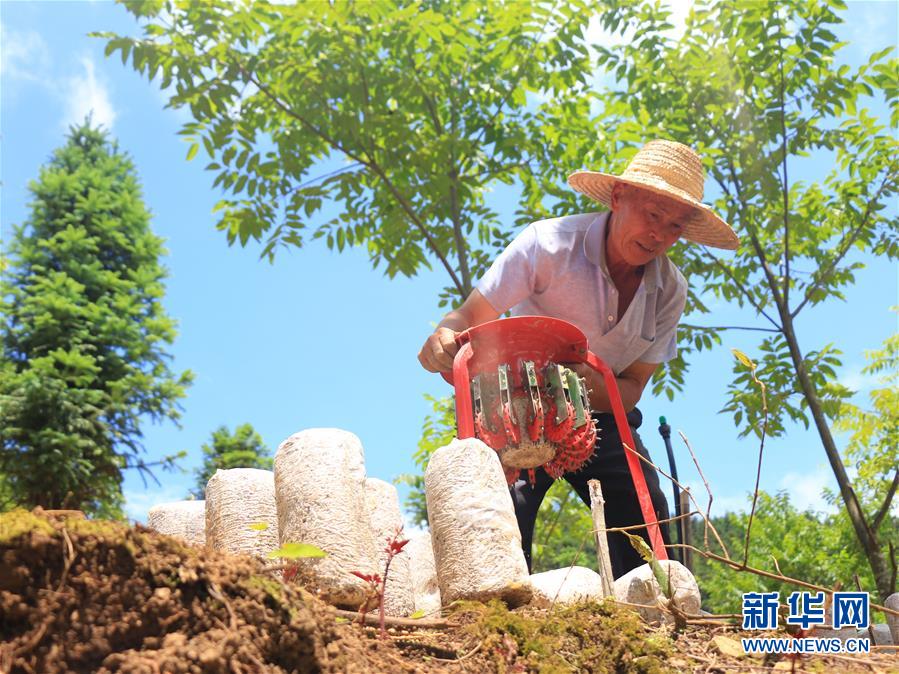 探索多样化数字阅读 营造全民阅读氛围