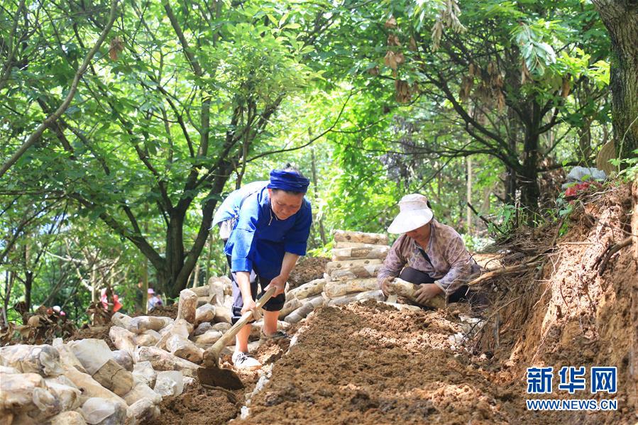 探索多样化数字阅读 营造全民阅读氛围