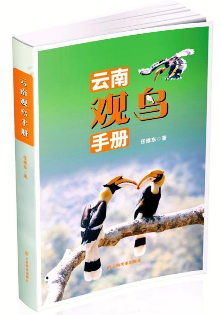 飞鸟的请柬：听见羽翼划过彩云之南