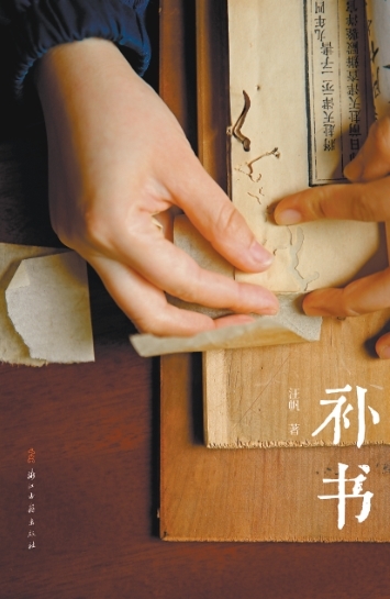 时光栖息书叶间——《补书》创作拾趣