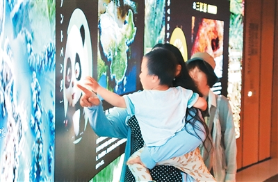 将绿色“中华书简”展现给世界