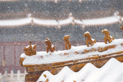 北双宝：故宫于我 半生守护 一生为家