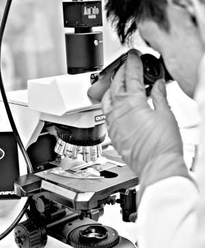 博物馆藏着可视化“文物医院”