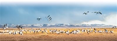 长江赋·文明颂——品评刘汉俊散文集《江天万里》