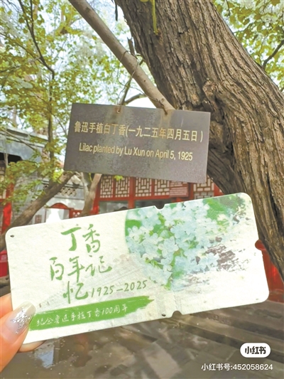 年轻人为何热衷在京城“访古寻迹”