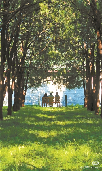 年轻人为何热衷在京城“访古寻迹”