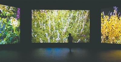 走进北京双年展,看见缤纷世界