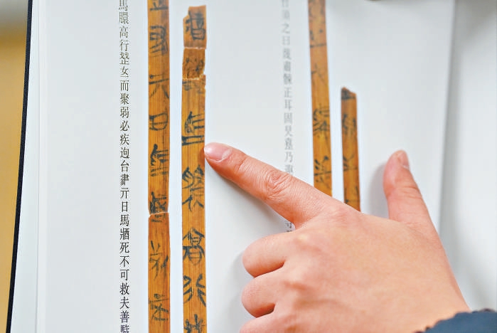 破译两千多年前的养马“秘笈”