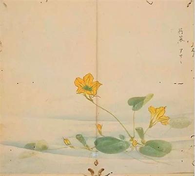 为全球生态治理贡献中国智慧(新书问答)