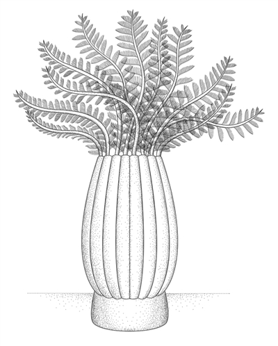 5亿多年前,生命为何快速登场?