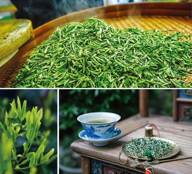 且饮惠明茶 抒写性灵诗——“茶韵诗情”诗歌征集活动启动