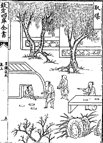 这枚墨锭可与欧阳修所著史书相提并论