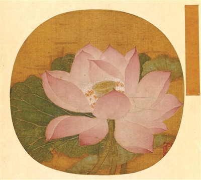 为“荷”而来 博物馆里的千年荷韵