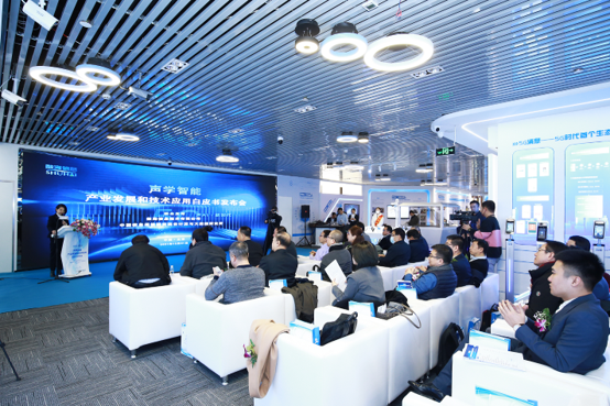 《中国声学智能产业发展技术应用白皮书》发布