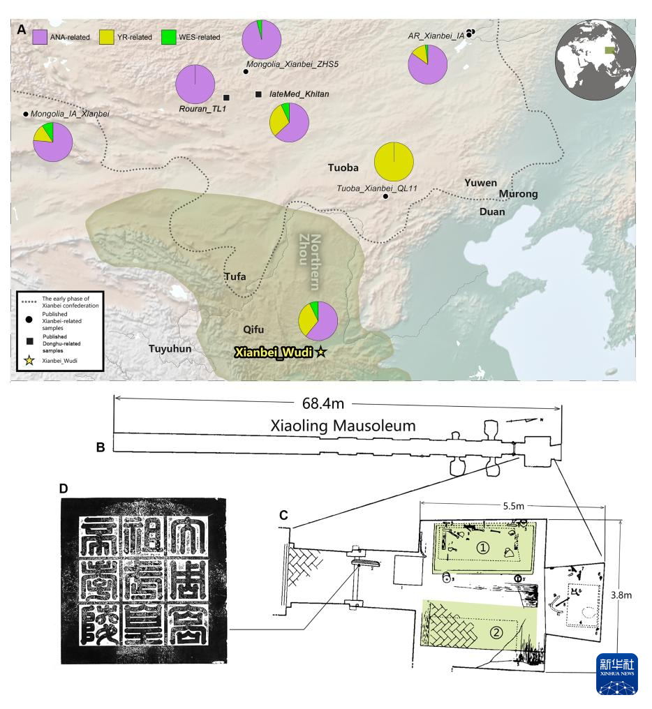 我国科技考古团队复原古代帝王容貌 我国科技考古团队复原古代帝王容貌
