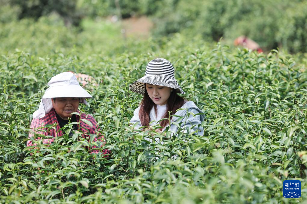 “春风十里”风筝节助力乡村春季特色文旅